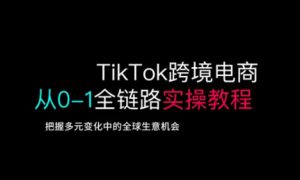 TikTok跨境电商从0-1全链路全方位实操教程，把握多元变化中的全球生意机会-易得个人分享