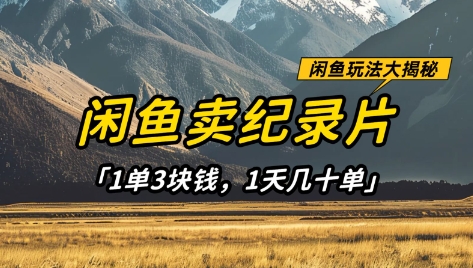 闲鱼卖纪录片1单3块钱,1天几十单,项目稳定有潜力-易得个人分享