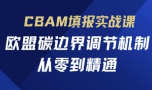 CBAM填报实战课，欧盟碳边界调节机制，从零到精通-易得个人分享