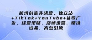 跨境创富实战营，独立站+TikTok+YouTube+谷歌广告，经营策略，店铺运营，精准选品，高效引流-易得个人分享