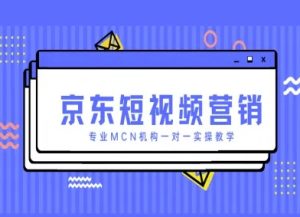 京东短视频营销项目，专业MCN机构一对一实操教学-易得个人分享