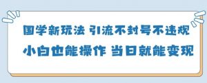 国学新玩法，引流不封号不违规小白也能操作，当日就能变现-易得个人分享