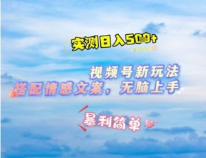 微信视频号最新玩法，表情包搭配情感文案，2分钟一条原创作品，简单好上手，轻松日入几张-易得个人分享