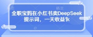 全职宝妈在小红书卖DeepSeek提示词，一天收益1k-易得个人分享