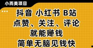 小而美的项目，抖音小红书B站视频点赞、关注、评论就能挣钱，简单无脑立见收益，妥妥的零撸项目【揭秘】-易得个人分享