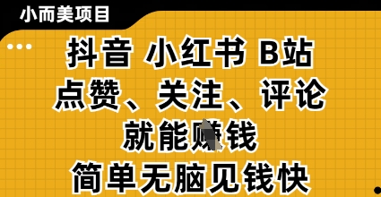 小而美的项目，抖音小红书B站视频点赞、关注、评论就能挣钱，简单无脑立见收益，妥妥的零撸项目【揭秘】-易得个人分享