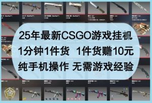 25年最新CSGO游戏挂G，1分钟1件货，1件货挣10元，纯手机操作，无需游戏经验【揭秘】-易得个人分享