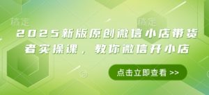 2025新版原创微信小店带货者实操课，教你微信开小店-易得个人分享