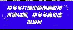 拼多多打爆班原创高阶技术第43期，拼多多高价虚拟项目-易得个人分享