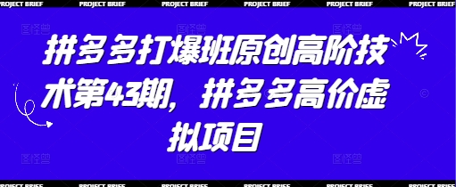 拼多多打爆班原创高阶技术第43期，拼多多高价虚拟项目-易得个人分享