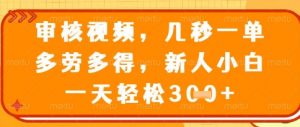 视频审核员，几秒一单，不限时间，不限地点，多做多得，新人小白一天轻松几张+【揭秘】-易得个人分享