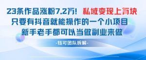 抖音私域项目23条作品涨粉7.2W，私域变现1W-易得个人分享