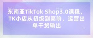 东南亚TikTok Shop3.0课程，TK小店​从初级到高阶，运营出单干货输出-易得个人分享