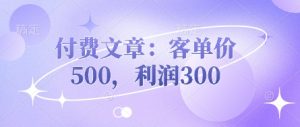 付费文章:客单价500,利润300-易得个人分享
