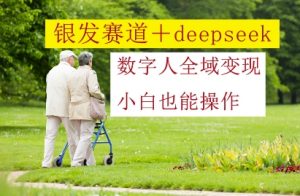 银发赛道+deepseek数字人全域变现，小白也能操作-易得个人分享
