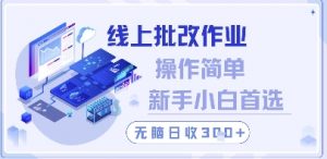 线上批改作业，操作简单新手小白首选，无脑日收300+【揭秘】-易得个人分享