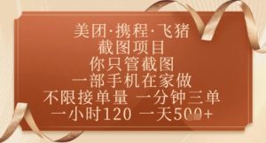 飞猪美团截图项目，你只管截图，一部手机在家做，正规平台无套路，一天5张+【揭秘】-易得个人分享