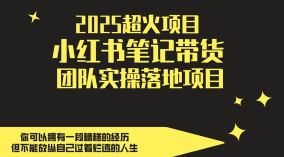 2025超火项目,副业最佳选择,小红书笔记带货团队实操落地项目,,轻松日入5张-易得个人分享