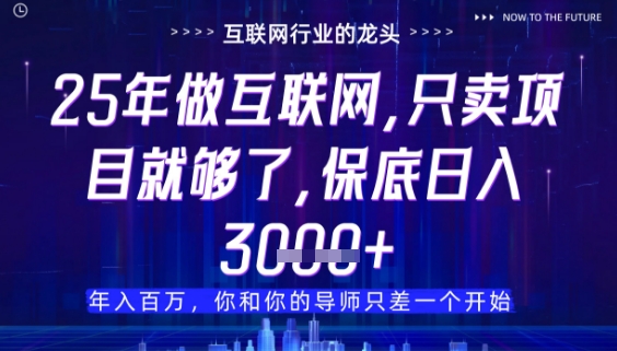 什么！25年你还在找项目做？风口早就变了，卖项目才是稳挣不赔【揭秘】-易得个人分享