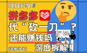 【2025最新】拼多多代坎助力项目深度拆解：还能挣钱吗?全流程玩法-易得个人分享
