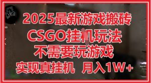 2025最新游戏搬砖,CSGO挂G,不需要玩游戏,实现真挂G,月入1W+【揭秘】-易得个人分享