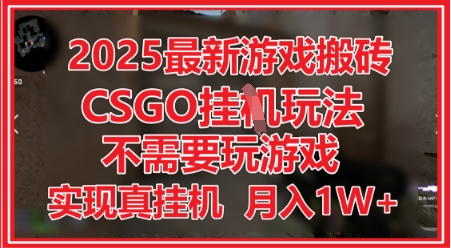 2025最新游戏搬砖，CSGO挂G，不需要玩游戏，实现真挂G，月入1W+【揭秘】-易得个人分享