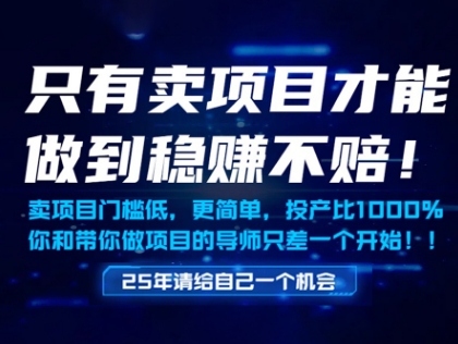 只有卖项目才能做到稳挣不赔，门槛低，更简单，你也可以年入百个W【揭秘】-易得个人分享