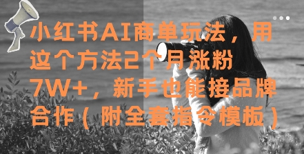 小红书AI商单玩法，用这个方法2个月涨粉7W+，新手也能接品牌合作(附全套指令模板)-易得个人分享