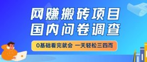 网创搬砖项目，国内问卷调查，小白轻松上手，一天三四张的也不难，干就完了【揭秘】-易得个人分享