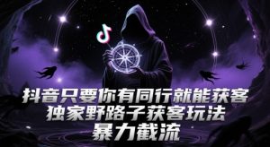 抖音只要你有同行就能获客，独家野路子获客玩法，暴力截流【揭秘】-易得个人分享