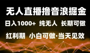 无人直播撸音浪掘金，日入1k+，纯无人红利期，小白可做，当天见效【揭秘】-易得个人分享