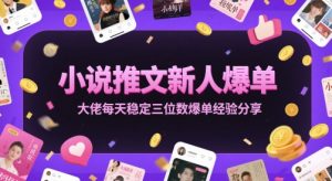 小说推文新人爆单大佬每天稳定三位数爆单经验分享-易得个人分享