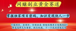 网创副业黄全赛道，掌握独家项目密码，知识变现快人一步，告别韭菜轻松实现单日变现1k+【揭秘】-易得个人分享