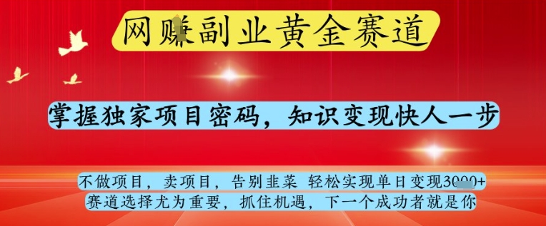 网创副业黄全赛道，掌握独家项目密码，知识变现快人一步，告别韭菜轻松实现单日变现1k+【揭秘】-易得个人分享