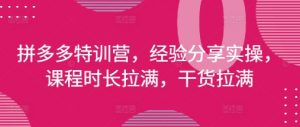 拼多多特训营，经验分享实操，课程时长拉满，干货拉满(更新25年4月)-易得个人分享
