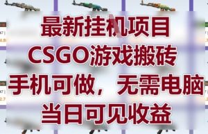 最新挂G项目，CSGO游戏搬砖，手机可做，无需电脑，当日见收益【揭秘】-易得个人分享
