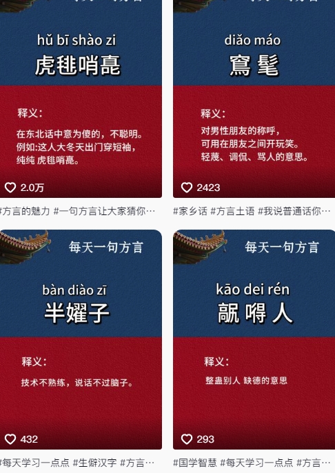 抖音最新涨粉玩法，图文方言暴力涨粉实操，126作品涨粉11W-易得个人分享