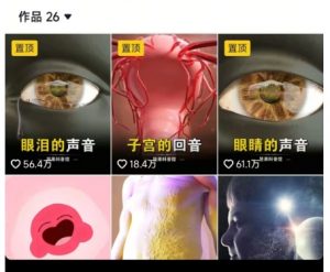 抖音坚果3D动画科普项目，撸视频号分成和抖音伙伴计划，适合零基础小白-易得个人分享