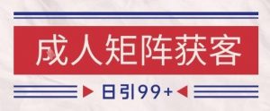 小红书某音橙人赛道引流获客，自热矩阵日引200+【揭秘】-易得个人分享
