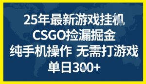 25年CSGO游戏搬砖，全自动挂G，不需要玩游戏，手机操作日入3张+【揭秘】-易得个人分享