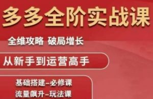 拼多多全阶实战课程，全维攻略，破局增长，从新手到运营高手-易得个人分享