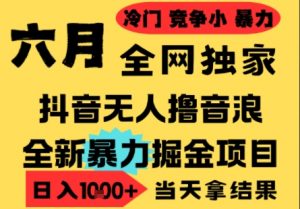 25年6月高爆抖音无人直播最新撸音浪掘金项目，小白可做，无脑日入1k+，门槛低可批量矩阵【揭秘】-易得个人分享