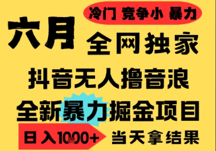 25年6月高爆抖音无人直播最新撸音浪掘金项目，小白可做，无脑日入1k+，门槛低可批量矩阵【揭秘】-易得个人分享