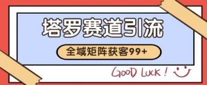 小红书某音塔罗赛道引流获客 自热矩阵日引200+【揭秘】-易得个人分享