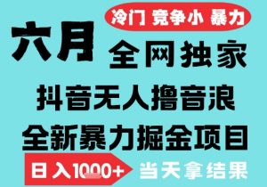 2025年6月高爆抖音无人直播最新撸音浪掘金项目，无脑日入1k+，低门槛小白可做，可矩阵放大【揭秘】-易得个人分享