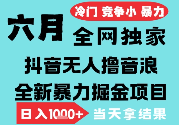 2025年6月高爆抖音无人直播最新撸音浪掘金项目，无脑日入1k+，低门槛小白可做，可矩阵放大【揭秘】-易得个人分享