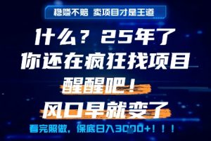 什么？25年你还在疯狂找项目做，醒醒吧，看完这些你全都懂了！【揭秘】-易得个人分享