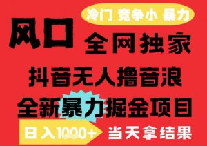 25年6月高爆抖音无人直播最新撸音浪掘金项目,解放双手小白可做,无脑日入1k+,门槛低【揭秘】-易得个人分享