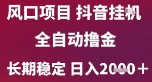 风口项目，六月最新玩法抖音无人挂G，全自动撸金，长期稳定 日入2k+【揭秘】-易得个人分享