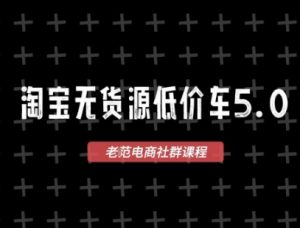 淘宝无货源2025VIP教程，​最新的淘宝无货源课程，1688代发，蓝海选品，零成本创业首选-易得个人分享